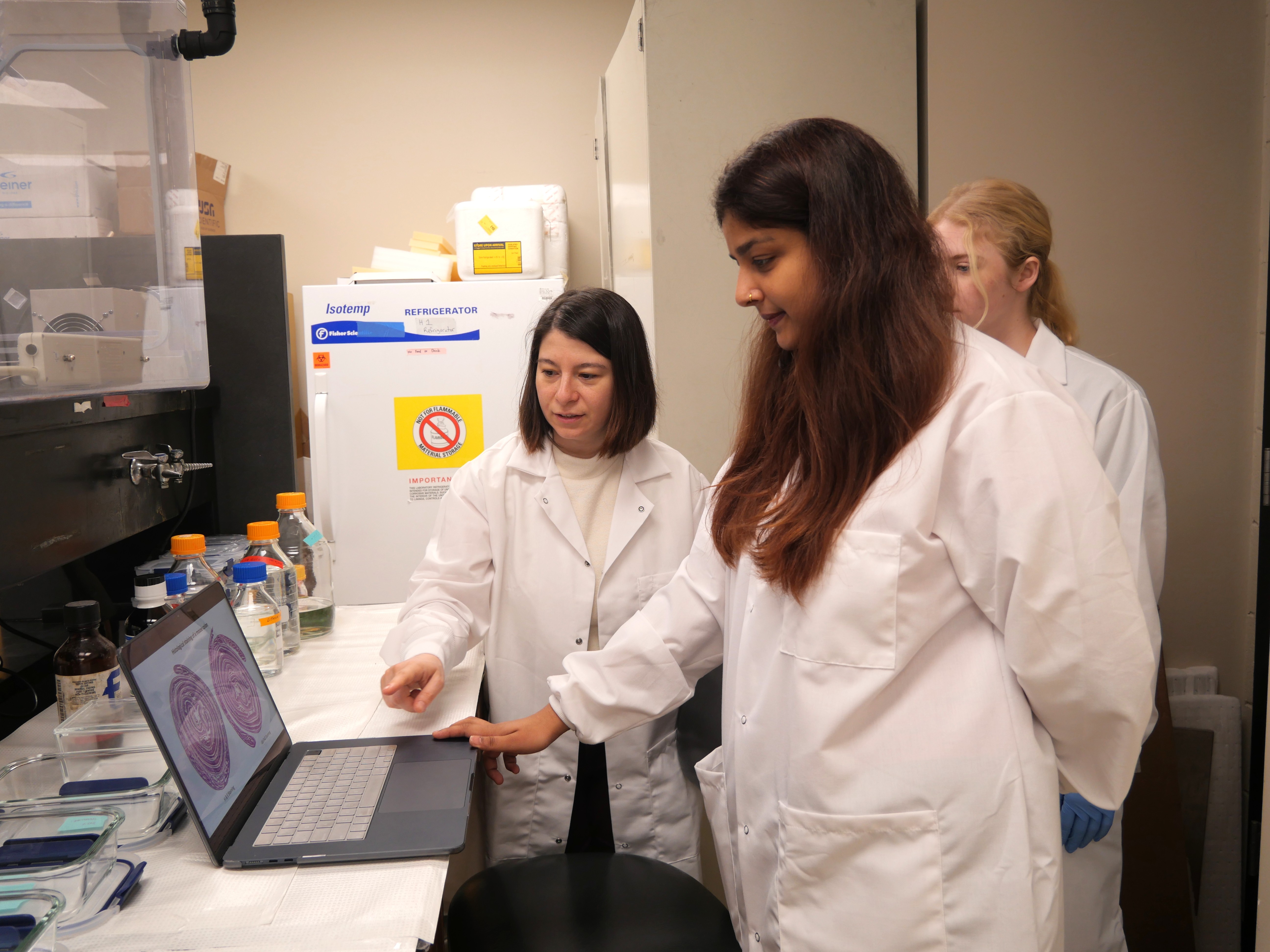 LSU AgCenter gut microbiome research explores how diet influences neurological health